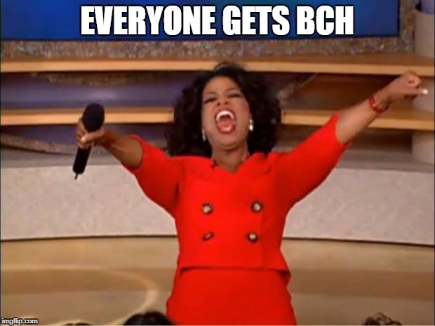 Oprah You Get A Meme | EVERYONE GETS BCH | image tagged in memes,oprah you get a | made w/ Imgflip meme maker