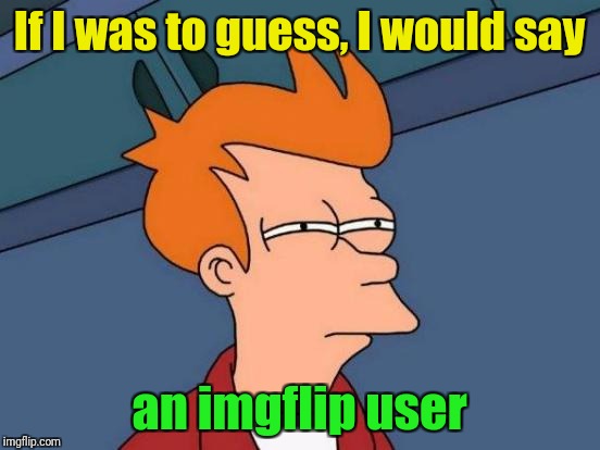 Futurama Fry Meme | If I was to guess, I would say an imgflip user | image tagged in memes,futurama fry | made w/ Imgflip meme maker