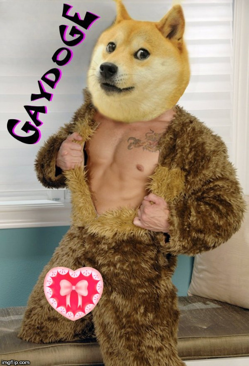 windoge | image tagged in doge,flirting doge,furry,fursuit,gay,homo | made w/ Imgflip meme maker