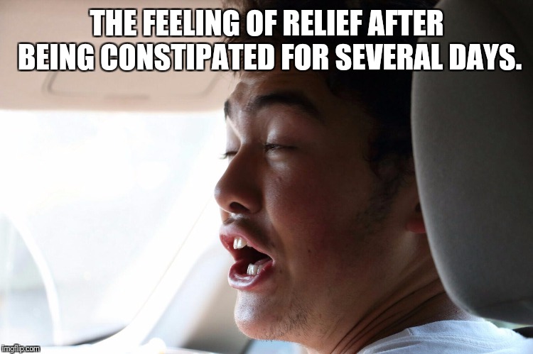 THE FEELING OF RELIEF AFTER BEING CONSTIPATED FOR SEVERAL DAYS. | image tagged in funny | made w/ Imgflip meme maker