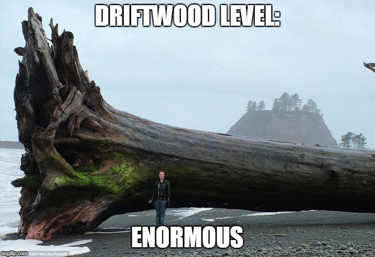 Huge wood | DRIFTWOOD LEVEL:; ENORMOUS | image tagged in wood,level | made w/ Imgflip meme maker
