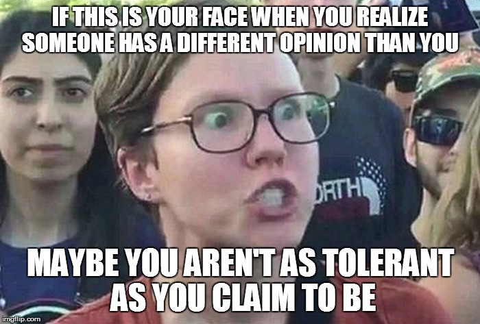 Triggered Liberal | IF THIS IS YOUR FACE WHEN YOU REALIZE SOMEONE HAS A DIFFERENT OPINION THAN YOU; MAYBE YOU AREN'T AS TOLERANT AS YOU CLAIM TO BE | image tagged in triggered liberal | made w/ Imgflip meme maker