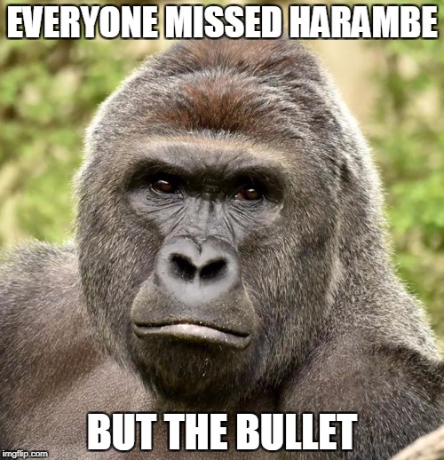 Har | EVERYONE MISSED HARAMBE; BUT THE BULLET | image tagged in har | made w/ Imgflip meme maker