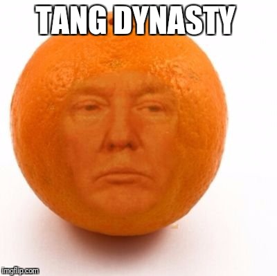 Anonymous meme week | TANG DYNASTY | image tagged in anonymous meme week,trump,orange,wu tang clan | made w/ Imgflip meme maker