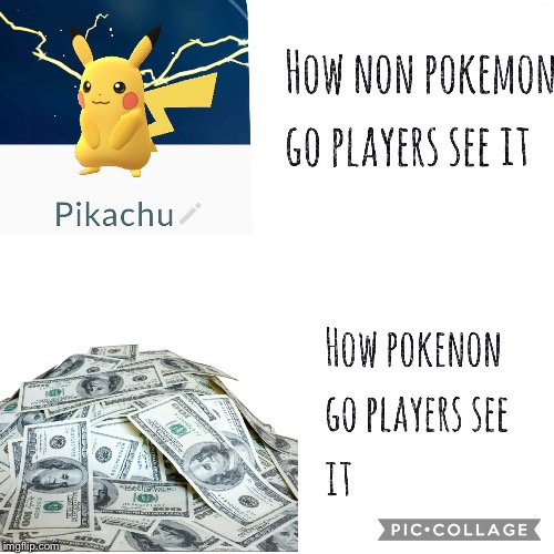How People See (pokemon go) | image tagged in pokemon go | made w/ Imgflip meme maker
