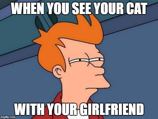 Futurama Fry | WHEN YOU SEE YOUR CAT; WITH YOUR GIRLFRIEND | image tagged in memes,futurama fry | made w/ Imgflip meme maker