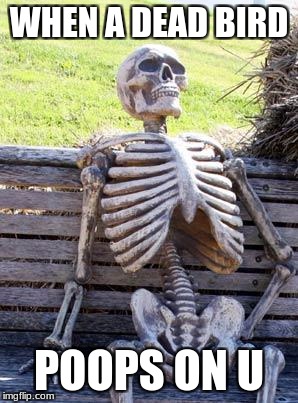 Waiting Skeleton Meme | WHEN A DEAD BIRD POOPS ON U | image tagged in memes,waiting skeleton | made w/ Imgflip meme maker
