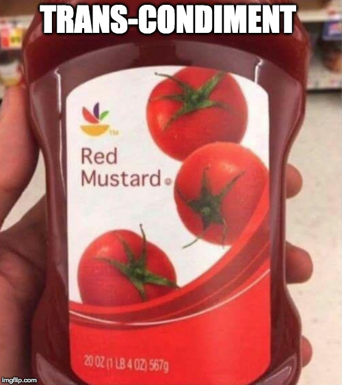 If you don't use it on things like corndogs and pretzels, you are transphobic. | TRANS-CONDIMENT | image tagged in transgender,transaphobe,transphobic,college liberal,hillary clinton,donald trump | made w/ Imgflip meme maker
