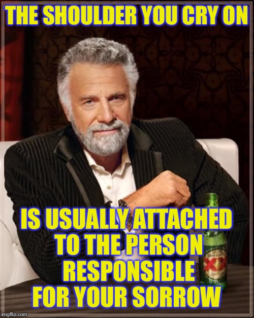 The Most Interesting Man In The World Meme | THE SHOULDER YOU CRY ON; IS USUALLY ATTACHED TO THE PERSON RESPONSIBLE FOR YOUR SORROW | image tagged in memes,the most interesting man in the world,anonymous meme week | made w/ Imgflip meme maker