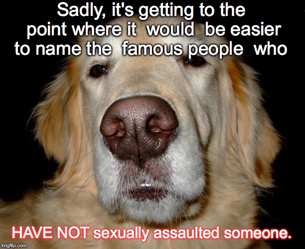 disappointed dog  | Sadly, it's getting to the point where it  would  be easier to name the  famous people  who; HAVE NOT sexually assaulted someone. | image tagged in life | made w/ Imgflip meme maker