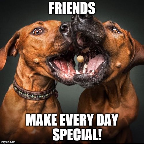 FRIENDS; MAKE EVERY DAY   
SPECIAL! | image tagged in friend | made w/ Imgflip meme maker