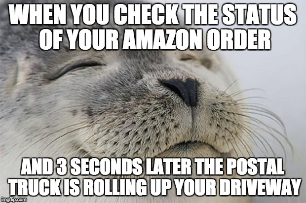 Satisfied Seal Meme | WHEN YOU CHECK THE STATUS OF YOUR AMAZON ORDER; AND 3 SECONDS LATER THE POSTAL TRUCK IS ROLLING UP YOUR DRIVEWAY | image tagged in memes,satisfied seal,AdviceAnimals | made w/ Imgflip meme maker