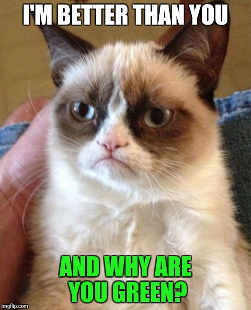 I'M BETTER THAN YOU AND WHY ARE YOU GREEN? | image tagged in memes,grumpy cat | made w/ Imgflip meme maker