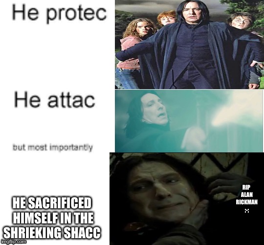 He sacrificed while protecc and atacc Henry poiler | HE SACRIFICED HIMSELF IN THE SHRIEKING SHACC; RIP ALAN RICKMAN ;-; | image tagged in sad,rip | made w/ Imgflip meme maker