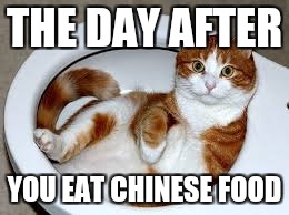 What my poop looks like after i eat at chinese restaurant | THE DAY AFTER; YOU EAT CHINESE FOOD | image tagged in grumpy cat,memes,thanksgiving | made w/ Imgflip meme maker