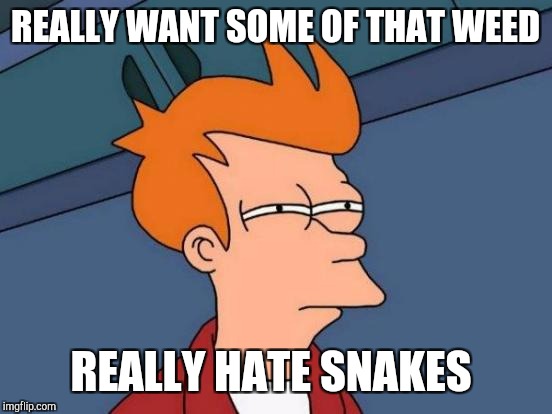 Futurama Fry Meme | REALLY WANT SOME OF THAT WEED REALLY HATE SNAKES | image tagged in memes,futurama fry | made w/ Imgflip meme maker