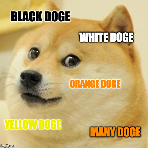 Doge Meme | BLACK DOGE WHITE DOGE ORANGE DOGE YELLOW DOGE MANY DOGE | image tagged in memes,doge | made w/ Imgflip meme maker