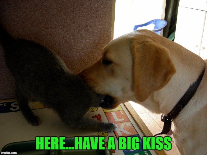 HERE...HAVE A BIG KISS | made w/ Imgflip meme maker
