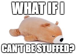 WHAT IF I CAN'T BE STUFFED? | made w/ Imgflip meme maker
