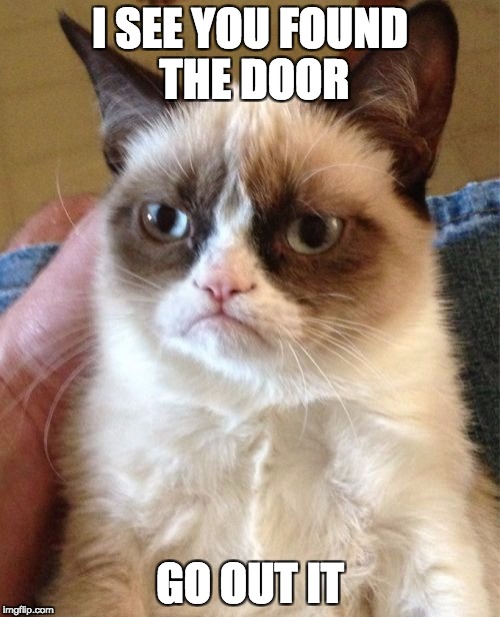 Grumpy Cat Meme | I SEE YOU FOUND THE DOOR; GO OUT IT | image tagged in memes,grumpy cat | made w/ Imgflip meme maker