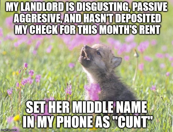 Baby Insanity Wolf Meme | MY LANDLORD IS DISGUSTING, PASSIVE AGGRESIVE, AND HASN'T DEPOSITED MY CHECK FOR THIS MONTH'S RENT; SET HER MIDDLE NAME IN MY PHONE AS "CUNT" | image tagged in memes,baby insanity wolf | made w/ Imgflip meme maker