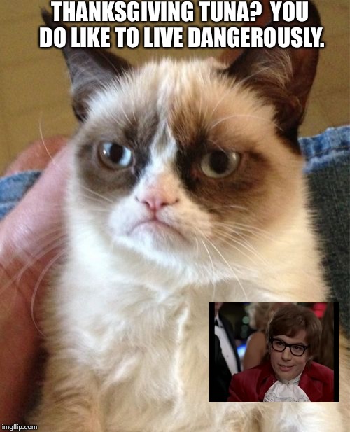 Grumpy Cat | THANKSGIVING TUNA?  YOU DO LIKE TO LIVE DANGEROUSLY. | image tagged in memes,grumpy cat | made w/ Imgflip meme maker