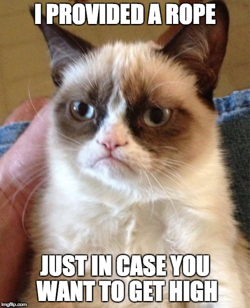 Grumpy Cat | I PROVIDED A ROPE; JUST IN CASE YOU WANT TO GET HIGH | image tagged in memes,grumpy cat | made w/ Imgflip meme maker