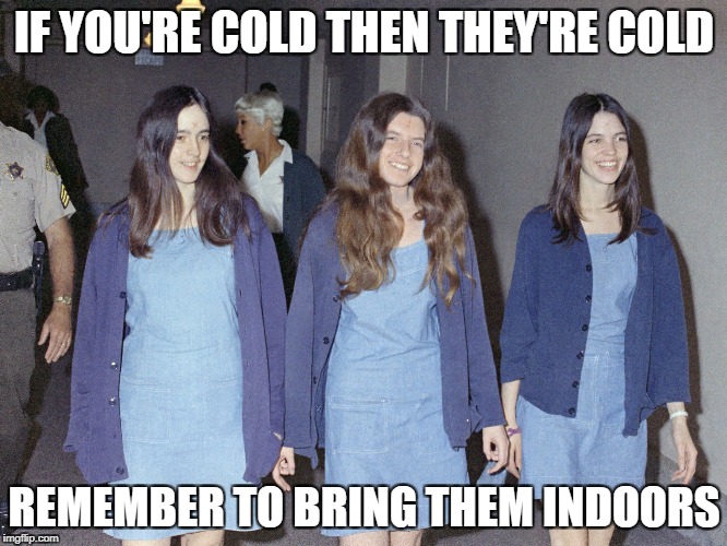 IF YOU'RE COLD THEN THEY'RE COLD; REMEMBER TO BRING THEM INDOORS | image tagged in manson girls | made w/ Imgflip meme maker