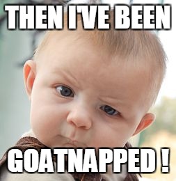 Skeptical Baby Meme | THEN I'VE BEEN GOATNAPPED ! | image tagged in memes,skeptical baby | made w/ Imgflip meme maker