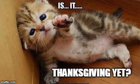 Love Thanksgiving! | THANKSGIVING YET? | image tagged in thanksgiving,happy thanksgiving | made w/ Imgflip meme maker