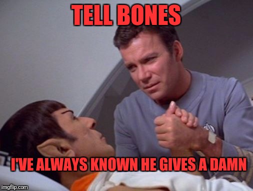 Star Trek week, a brandy_jackson, Tombstone 1881, and coollew event, Nov 20-27 | TELL BONES; I'VE ALWAYS KNOWN HE GIVES A DAMN | image tagged in star trek,memes,funny,dank memes,spock | made w/ Imgflip meme maker