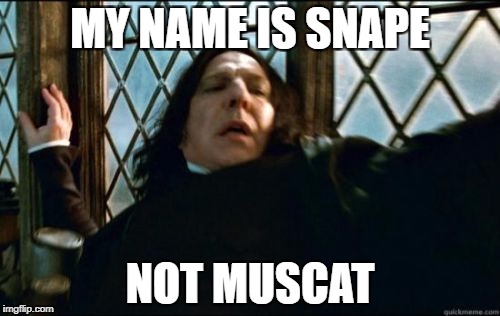 Snape | MY NAME IS SNAPE; NOT MUSCAT | image tagged in memes,snape | made w/ Imgflip meme maker