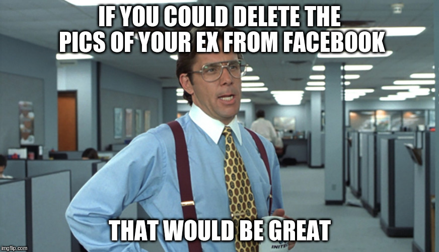 If you could delete the pics of your ex | IF YOU COULD DELETE THE PICS OF YOUR EX FROM FACEBOOK; THAT WOULD BE GREAT | image tagged in if you could delete the pics of your ex | made w/ Imgflip meme maker