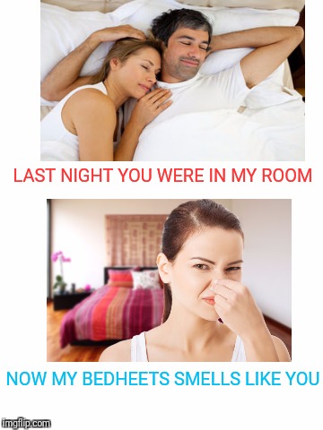 Song | LAST NIGHT YOU WERE IN MY ROOM; NOW MY BEDHEETS SMELLS LIKE YOU | image tagged in love | made w/ Imgflip meme maker