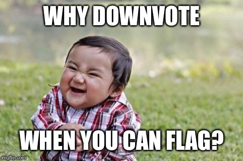 Evil Toddler Meme | WHY DOWNVOTE WHEN YOU CAN FLAG? | image tagged in memes,evil toddler | made w/ Imgflip meme maker