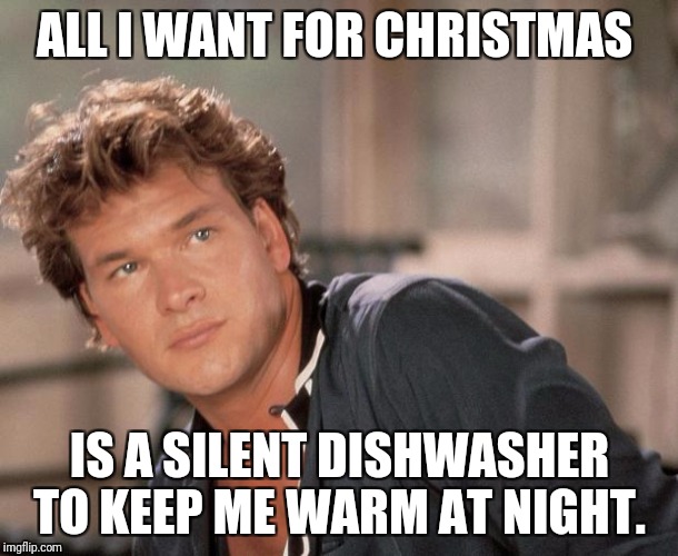 Patrick Swayze | ALL I WANT FOR CHRISTMAS; IS A SILENT DISHWASHER TO KEEP ME WARM AT NIGHT. | image tagged in patrick swayze | made w/ Imgflip meme maker