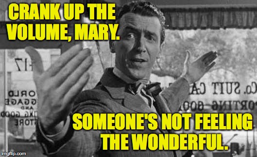 CRANK UP THE VOLUME, MARY. SOMEONE'S NOT FEELING THE WONDERFUL. | made w/ Imgflip meme maker