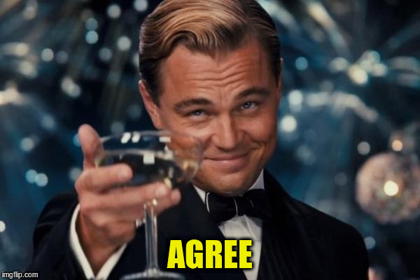 Leonardo Dicaprio Cheers Meme | AGREE | image tagged in memes,leonardo dicaprio cheers | made w/ Imgflip meme maker