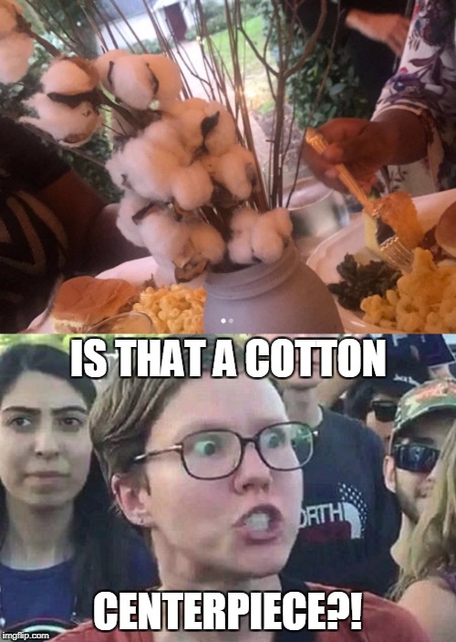 IS THAT A COTTON CENTERPIECE?! | made w/ Imgflip meme maker