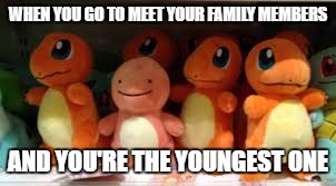 no one likes being left out | WHEN YOU GO TO MEET YOUR FAMILY MEMBERS; AND YOU'RE THE YOUNGEST ONE | image tagged in awkward charmander,memes,funny | made w/ Imgflip meme maker
