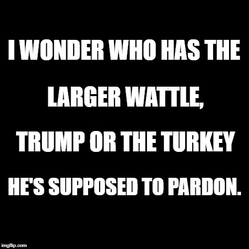 trump or turkey | I WONDER WHO HAS THE; LARGER WATTLE, TRUMP OR THE TURKEY; HE'S SUPPOSED TO PARDON. | image tagged in donald trump | made w/ Imgflip meme maker
