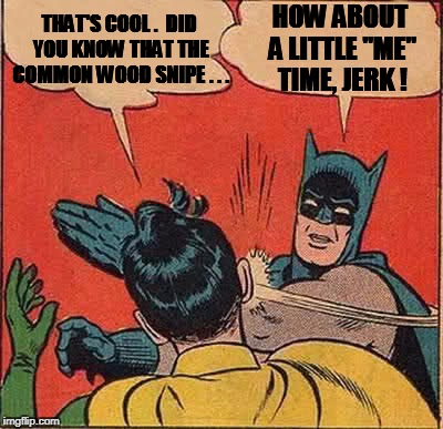 Batman Slapping Robin Meme | THAT'S COOL .  DID YOU KNOW THAT THE COMMON WOOD SNIPE . . . HOW ABOUT A LITTLE "ME" TIME, JERK ! | image tagged in memes,batman slapping robin | made w/ Imgflip meme maker