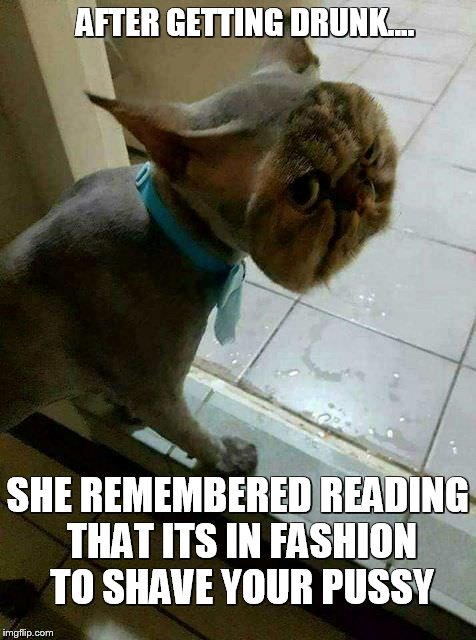 AFTER GETTING DRUNK.... SHE REMEMBERED READING THAT ITS IN FASHION TO SHAVE YOUR PUSSY | made w/ Imgflip meme maker