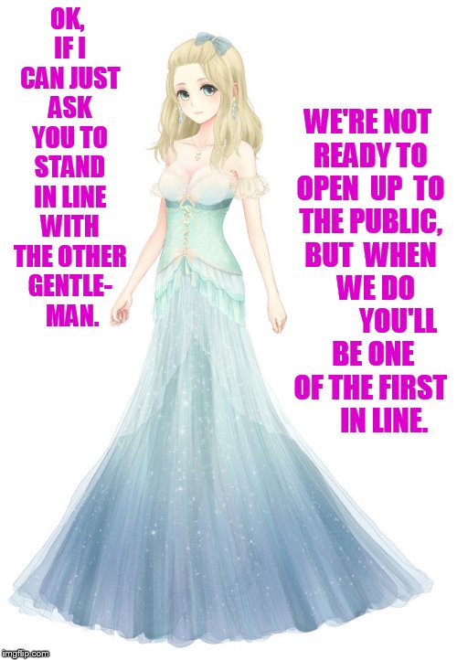 OK, IF I CAN JUST ASK YOU TO STAND IN LINE WITH THE OTHER GENTLE-  MAN. WE'RE NOT READY TO OPEN  UP  TO THE PUBLIC, BUT  WHEN     WE DO      | made w/ Imgflip meme maker