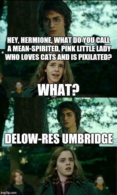 "90 points will be docked from Gryffindor for insulting a professor! Shame!" | HEY, HERMIONE, WHAT DO YOU CALL A MEAN-SPIRITED, PINK LITTLE LADY WHO LOVES CATS AND IS PIXILATED? WHAT? DELOW-RES UMBRIDGE | image tagged in harry potter and hermione | made w/ Imgflip meme maker