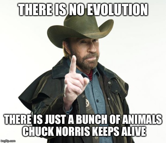 Chuck Norris Finger | THERE IS NO EVOLUTION; THERE IS JUST A BUNCH OF ANIMALS CHUCK NORRIS KEEPS ALIVE | image tagged in memes,chuck norris finger,chuck norris | made w/ Imgflip meme maker