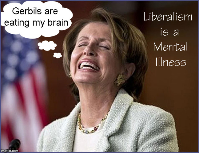 Gerbils are Eating My Brain | image tagged in nancy pelosi,liberalism is a mental disorder,current events,politics lol,funny memes,political meme | made w/ Imgflip meme maker
