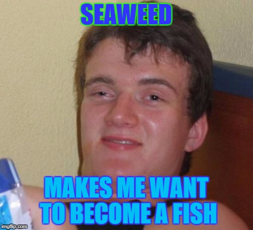 10 Guy Meme | SEAWEED MAKES ME WANT TO BECOME A FISH | image tagged in memes,10 guy | made w/ Imgflip meme maker