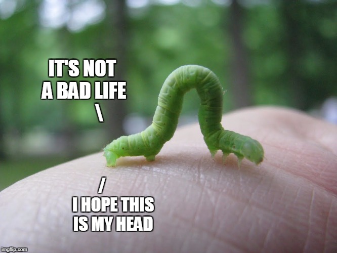 IT'S NOT A BAD LIFE          /       I HOPE THIS IS MY HEAD | made w/ Imgflip meme maker