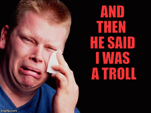 Calling someone a troll is not nice. It will hurt their feelz. | AND THEN  HE SAID I WAS  A TROLL | image tagged in memes,troll,getting called a troll,butthurt,keyboard kapow,my feelz are hurt | made w/ Imgflip meme maker